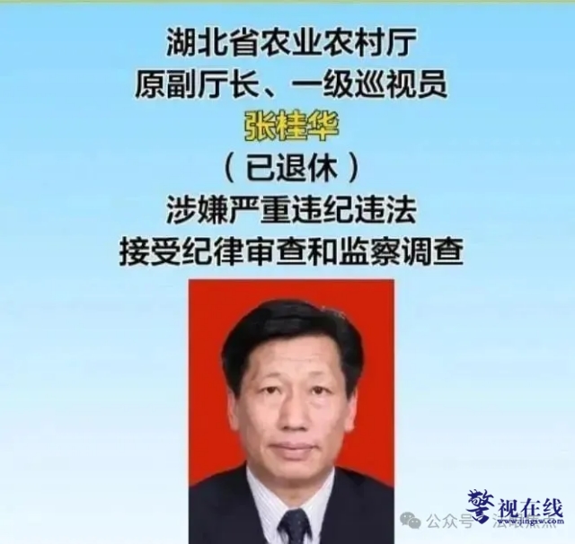 微信图片_20250615123453_副本.png