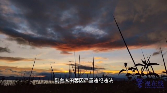 微信图片_20260212103221_1188_15_副本.png 微信图片_20260212103221_1188_15_副本.png