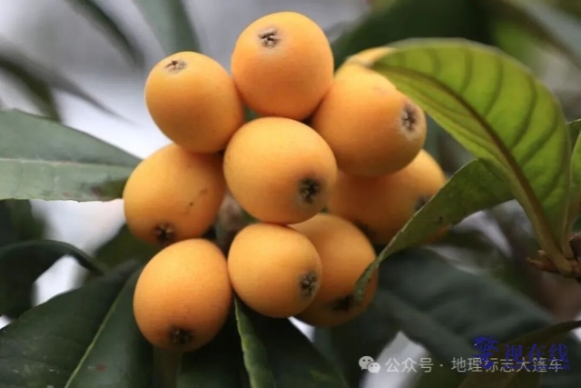 640 (2)_副本.jpg 640 (2)_副本.jpg