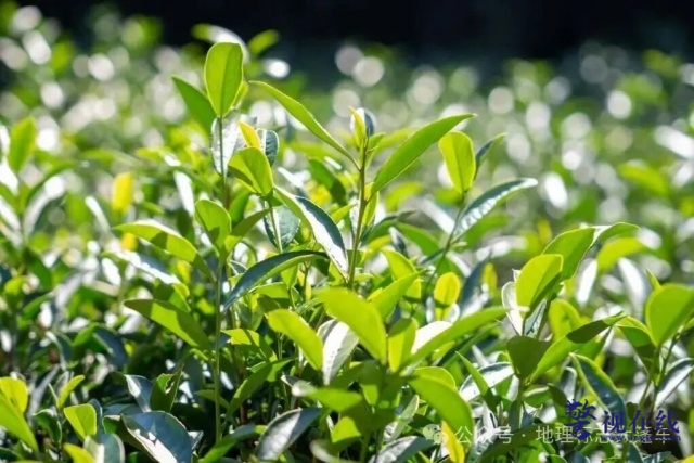 640 (7)_副本.jpg 640 (7)_副本.jpg