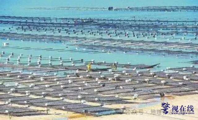 640 (10)_副本.jpg 640 (10)_副本.jpg