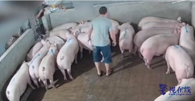 微信图片_20260305150425_1525_15_副本.png 微信图片_20260305150425_1525_15_副本.png